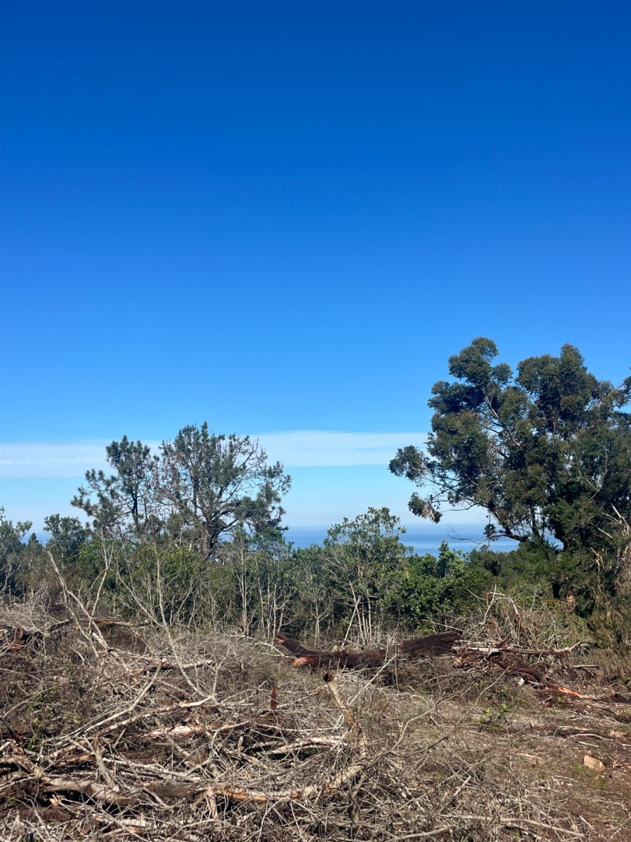 Commercial Property for Sale in Plettenberg Bay Rural Western Cape